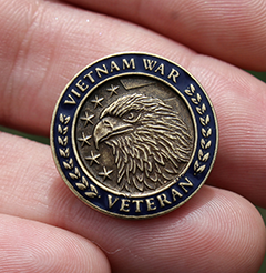 Vietnam War Veteran Lapel Pin