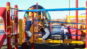 In 2017, the Exchange provided $219 million for critical Quality-of-Life programs, such as this playground and equipment for military brats.