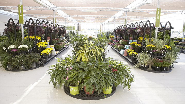 Green plants in Fort Hood's outdoor living department on grand opening day.